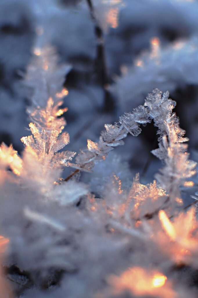 snow, winter, snowflakes